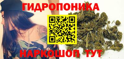 молекула духа Будённовск