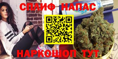 молекула духа Будённовск