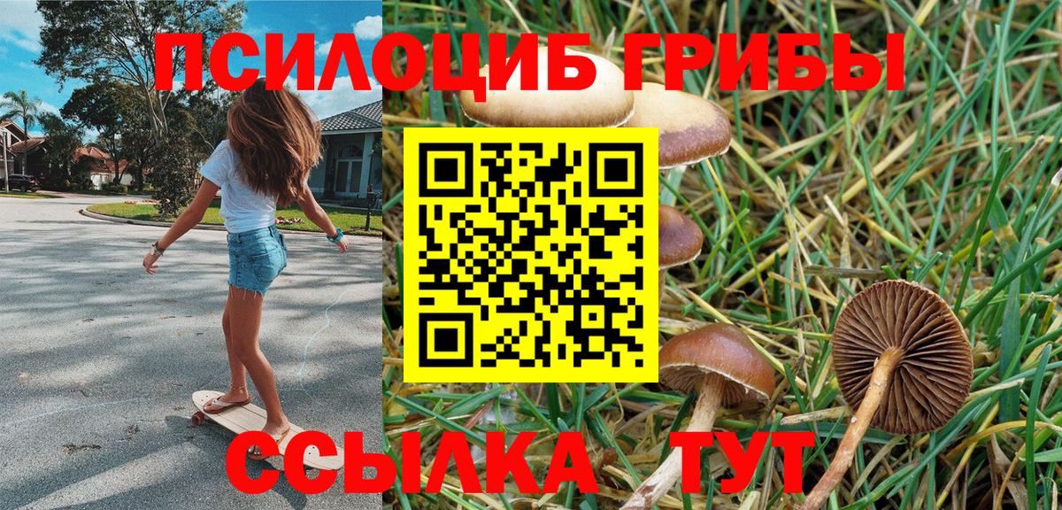 Галлюциногенные грибы мицелий Слободской